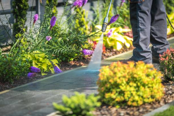 Reliable Wood River, IL Pressure Washing Services Solutions